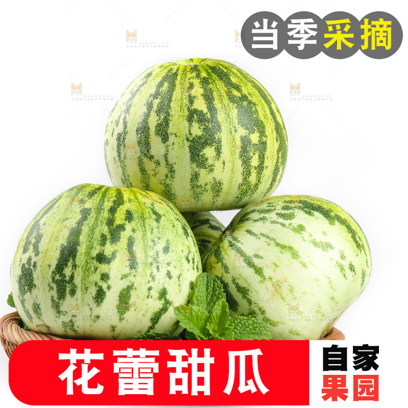 白底上的花蕾甜瓜