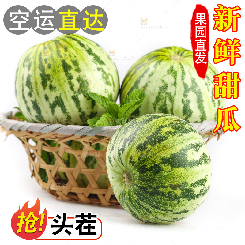 白底上的花蕾甜瓜