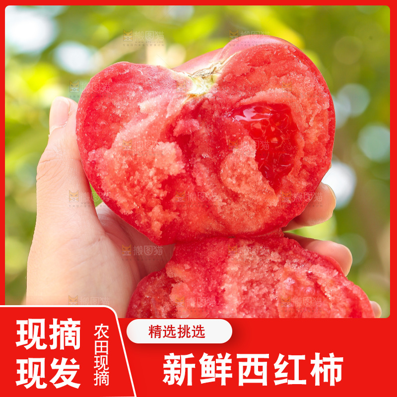 手里拿着沙瓤番茄