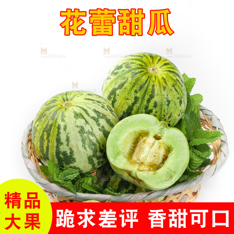 白底上的花蕾甜瓜