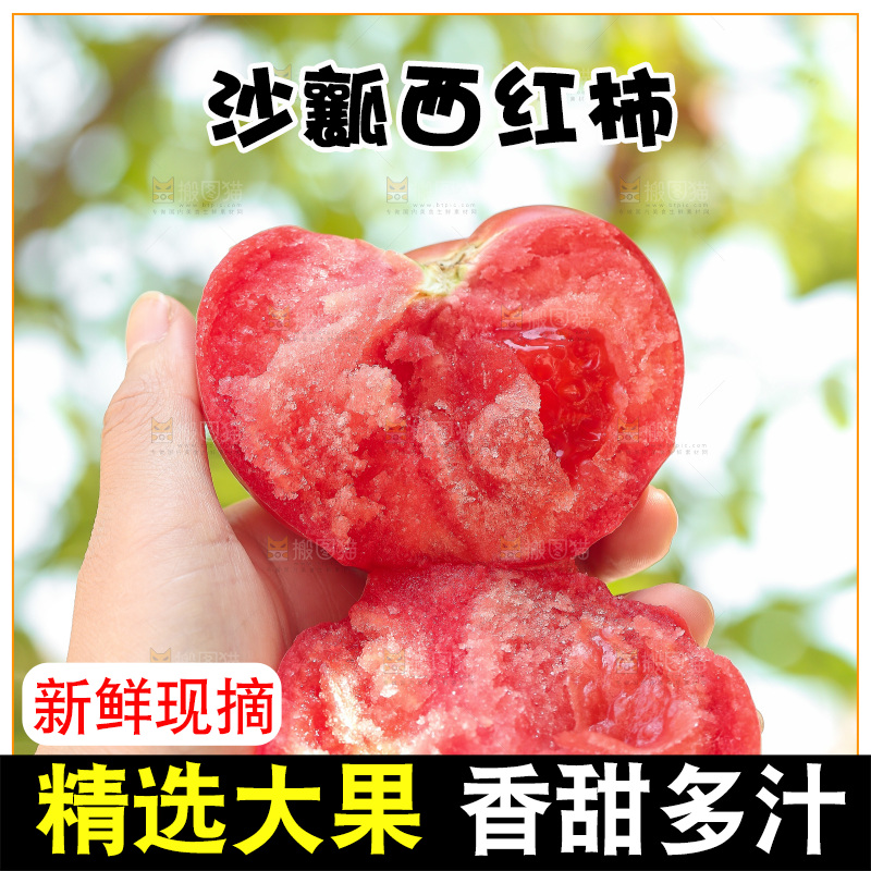 手里拿着沙瓤番茄