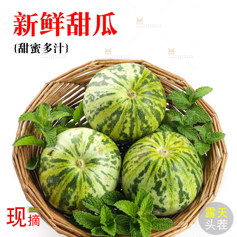 白底上的花蕾甜瓜