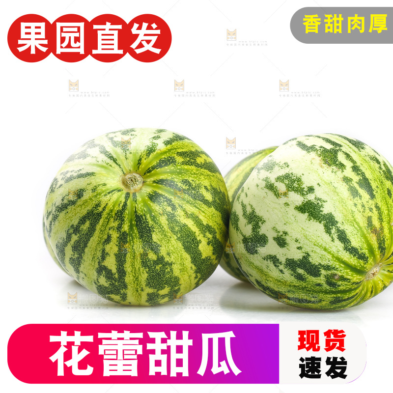 白底上的花蕾甜瓜