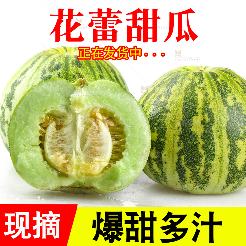 白底上的花蕾甜瓜