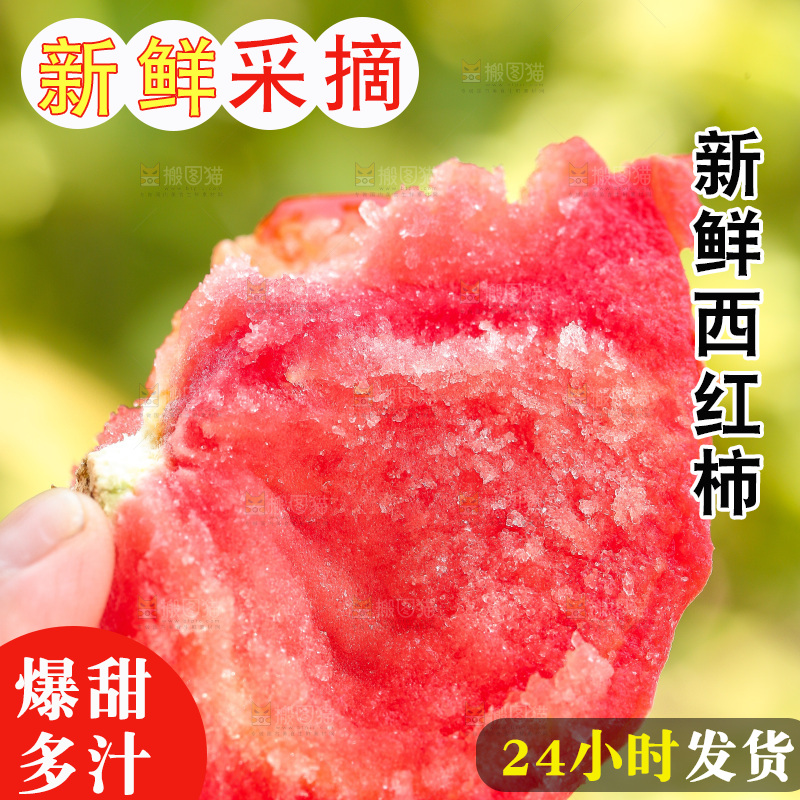 手里拿着沙瓤番茄