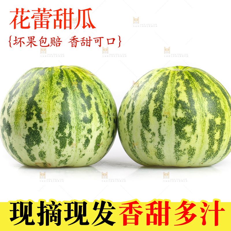 白底上的花蕾甜瓜