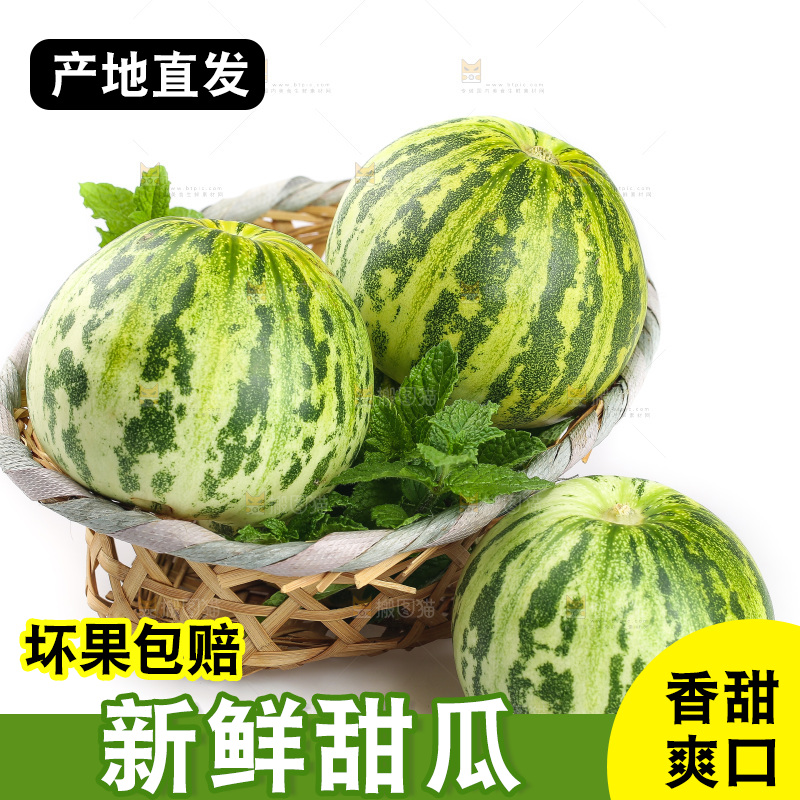 白底上的花蕾甜瓜