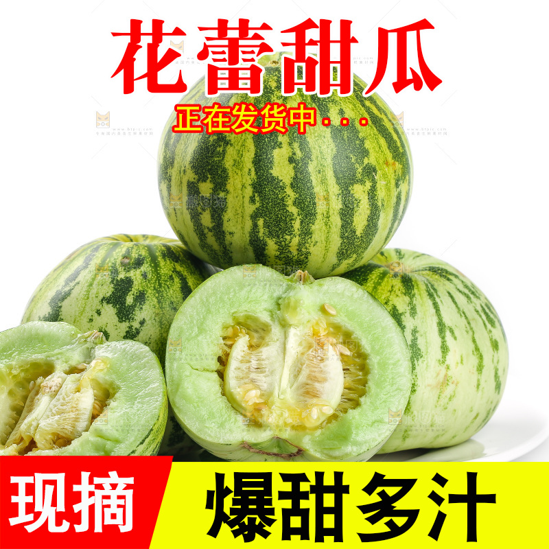 白底上的花蕾甜瓜
