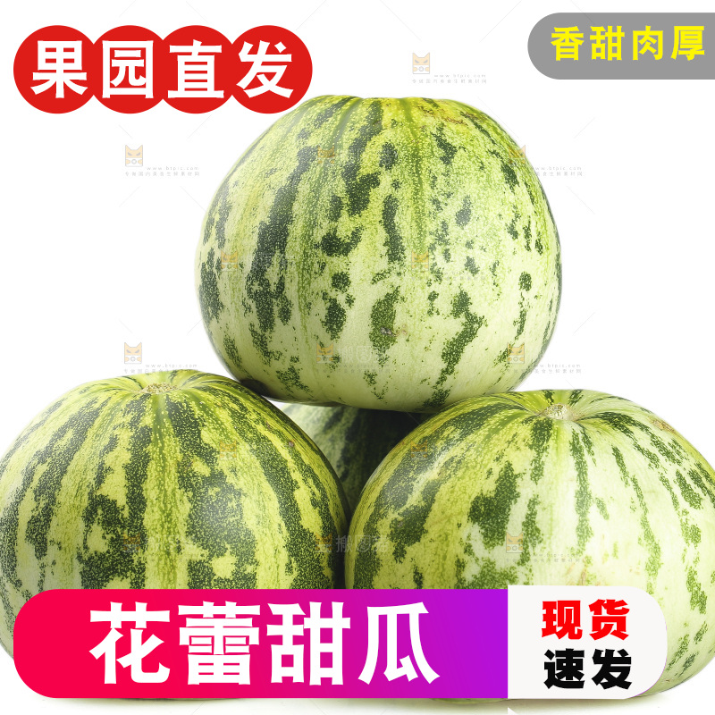 白底上的花蕾甜瓜