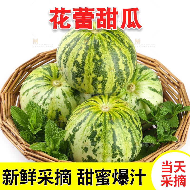 白底上的花蕾甜瓜