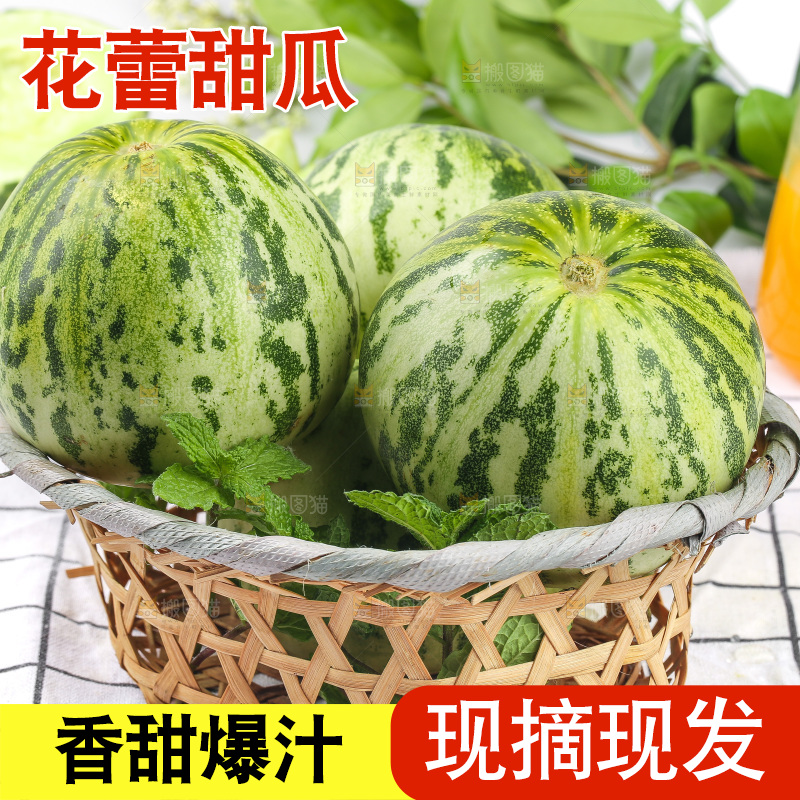 浅底上的花蕾甜瓜