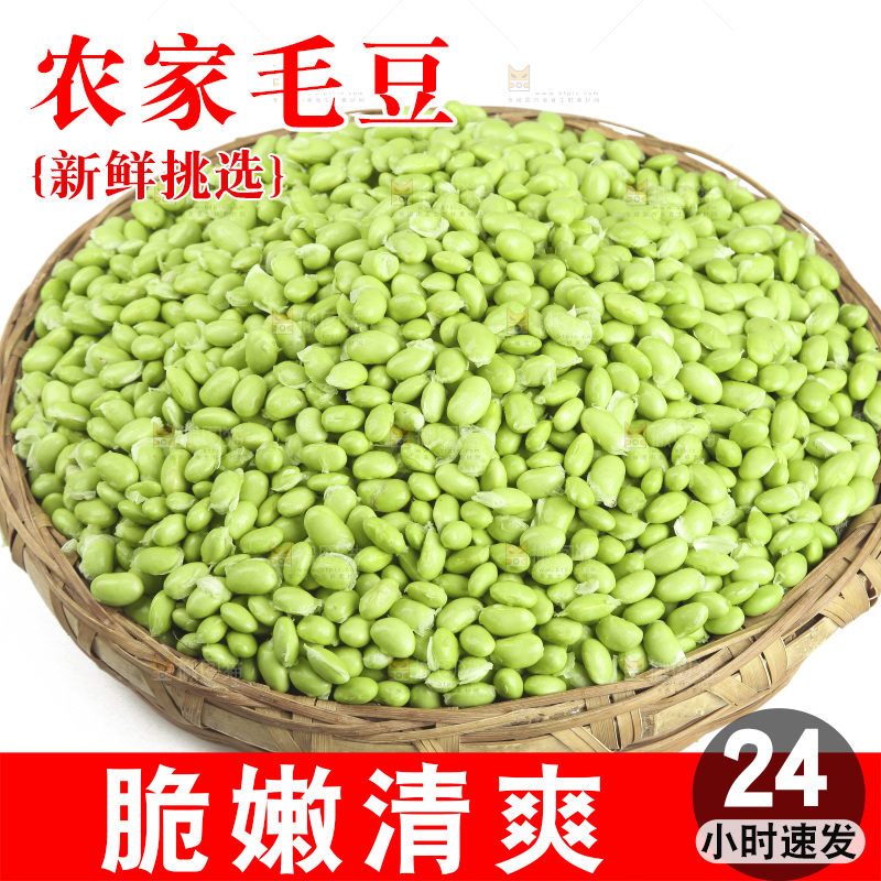 白底上的新鲜毛豆