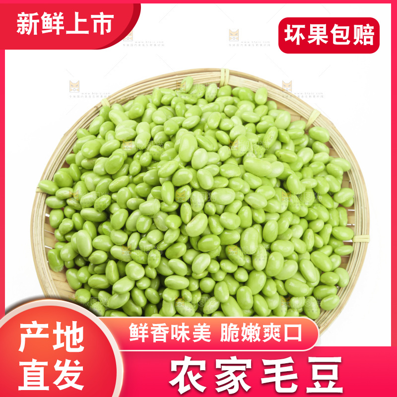 白底上的新鲜毛豆