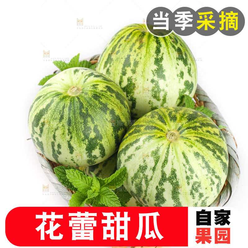 白底上的花蕾甜瓜