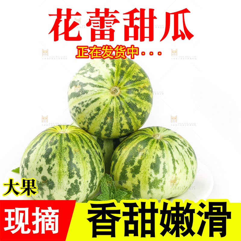 白底上的花蕾甜瓜