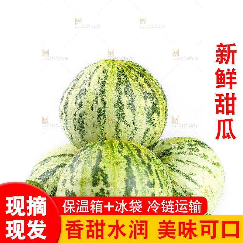 白底上的花蕾甜瓜