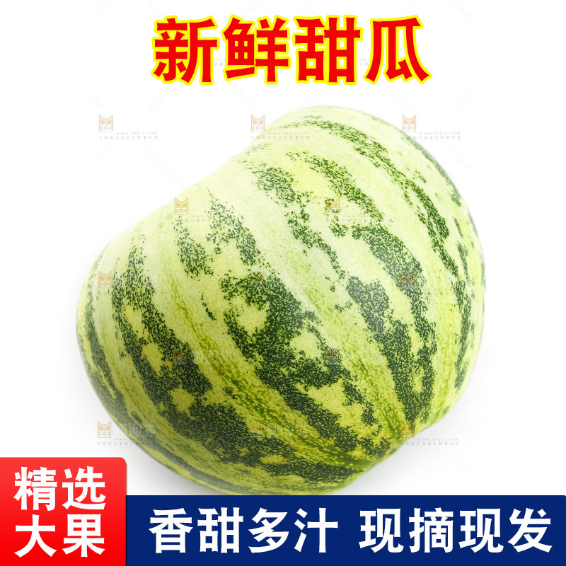 白底上的花蕾甜瓜