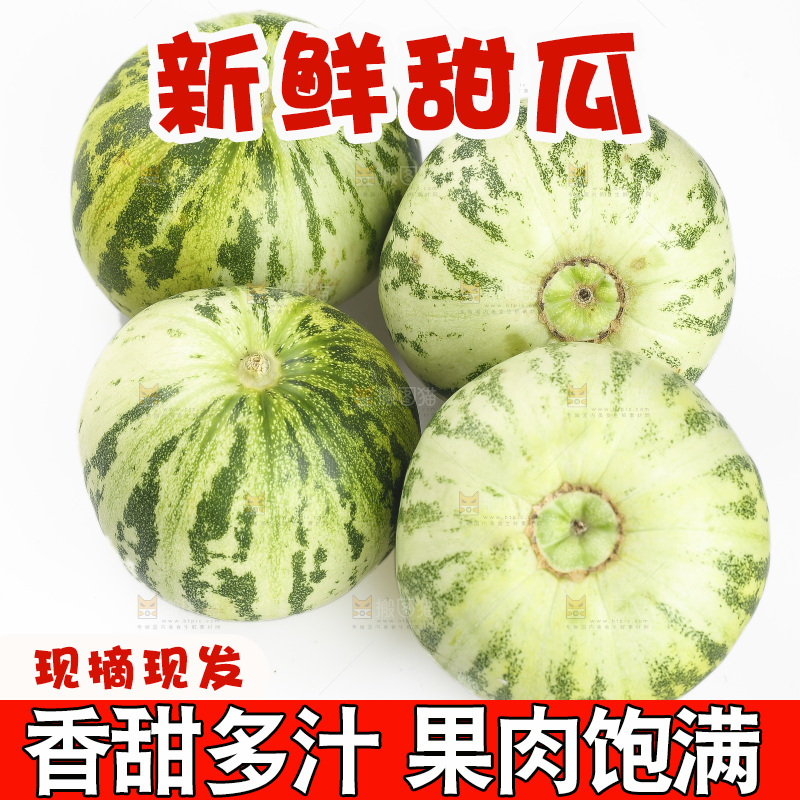 白底上的花蕾甜瓜