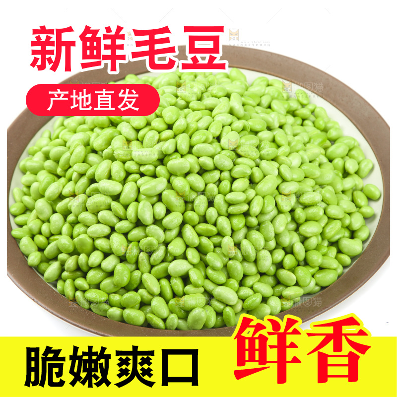 白底上的新鲜毛豆