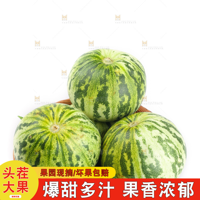 白底上的花蕾甜瓜