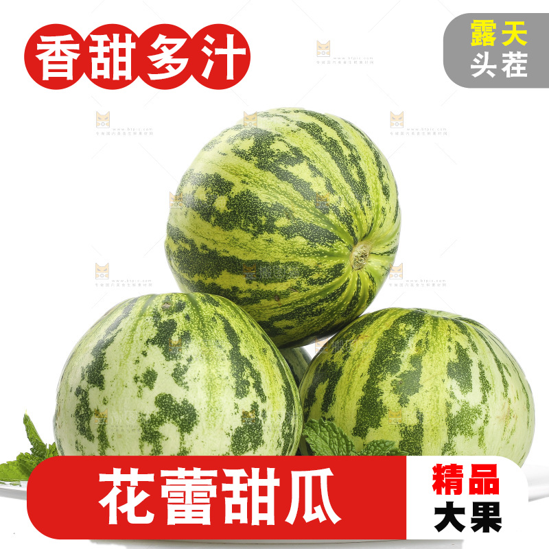白底上的花蕾甜瓜