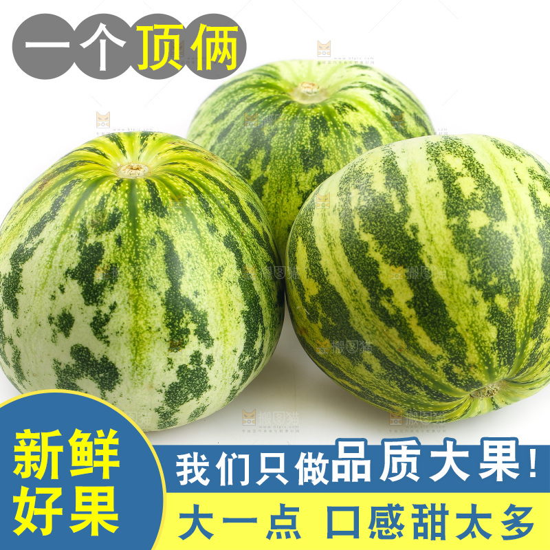 白底上的花蕾甜瓜