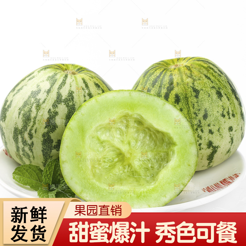 白底上的花蕾甜瓜