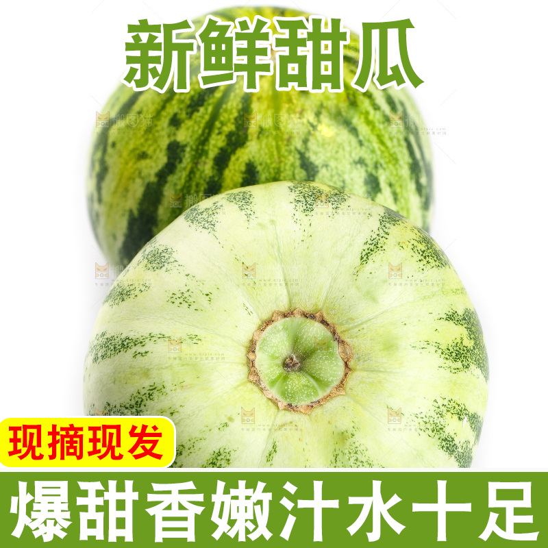 白底上的花蕾甜瓜
