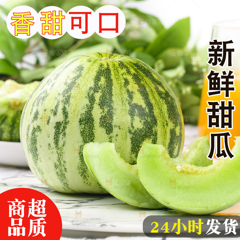 浅底上的花蕾甜瓜