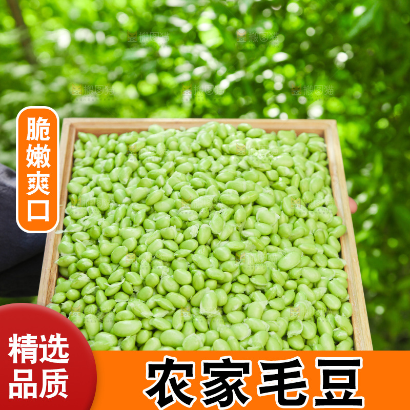 手里拿着毛豆