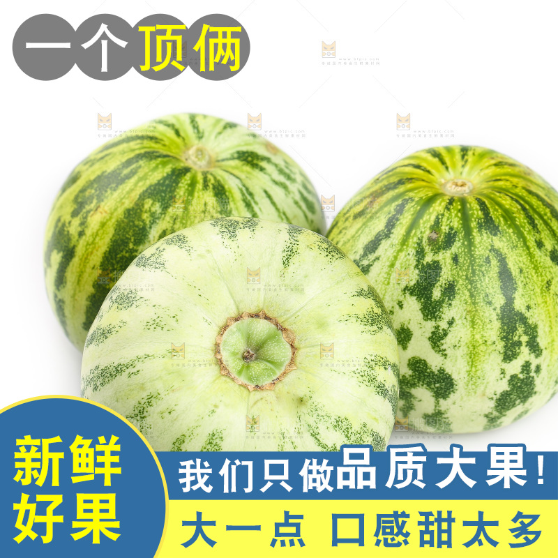 白底上的花蕾甜瓜