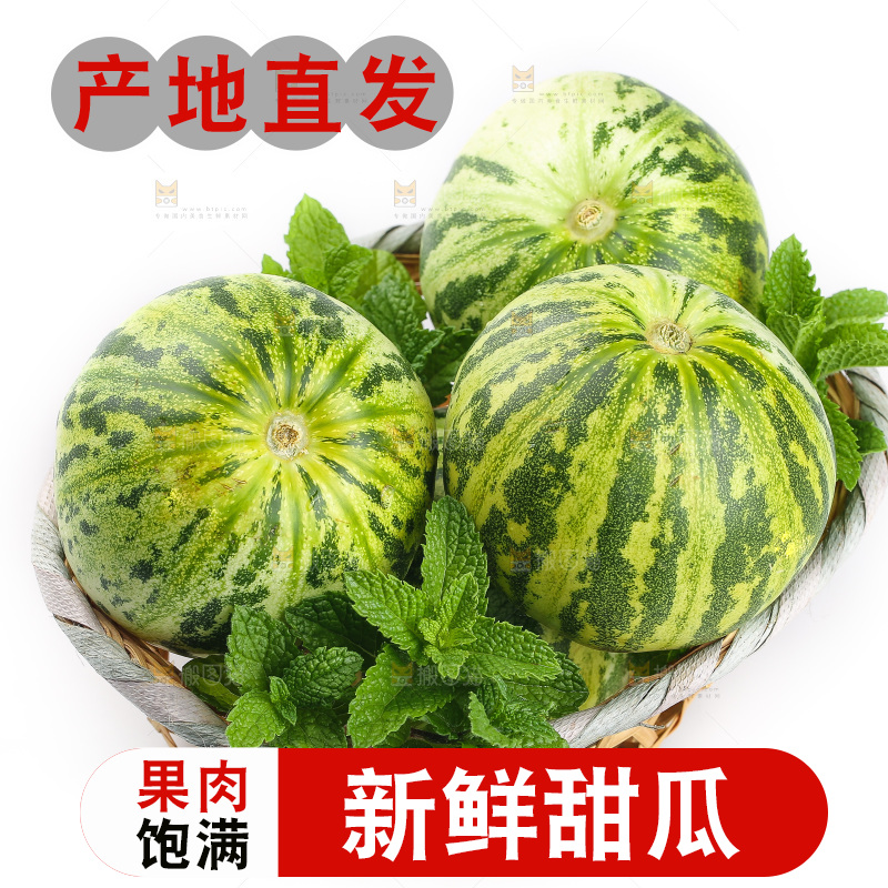 白底上的花蕾甜瓜