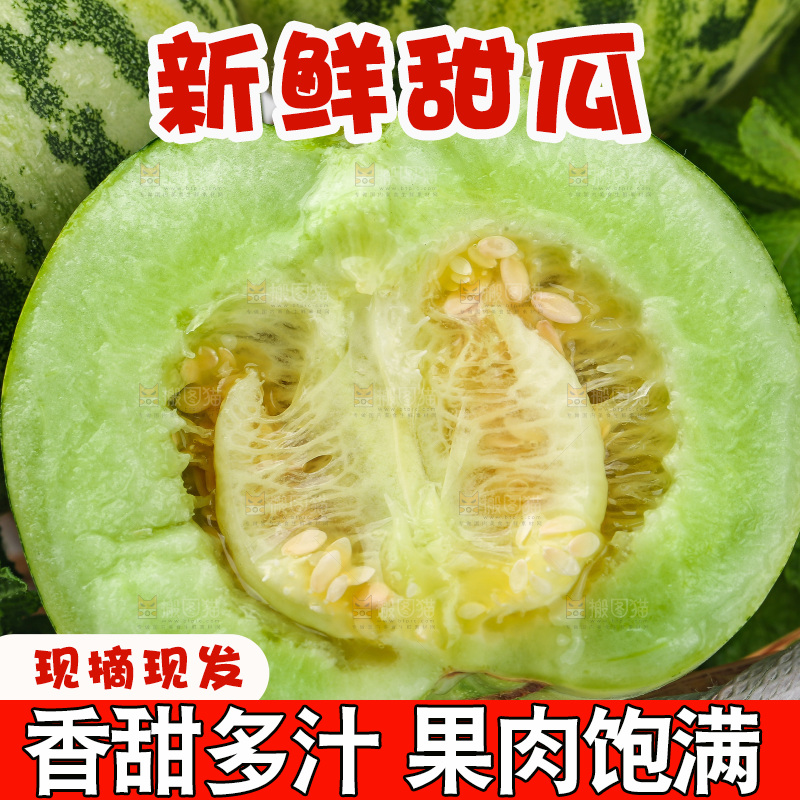 白底上的花蕾甜瓜