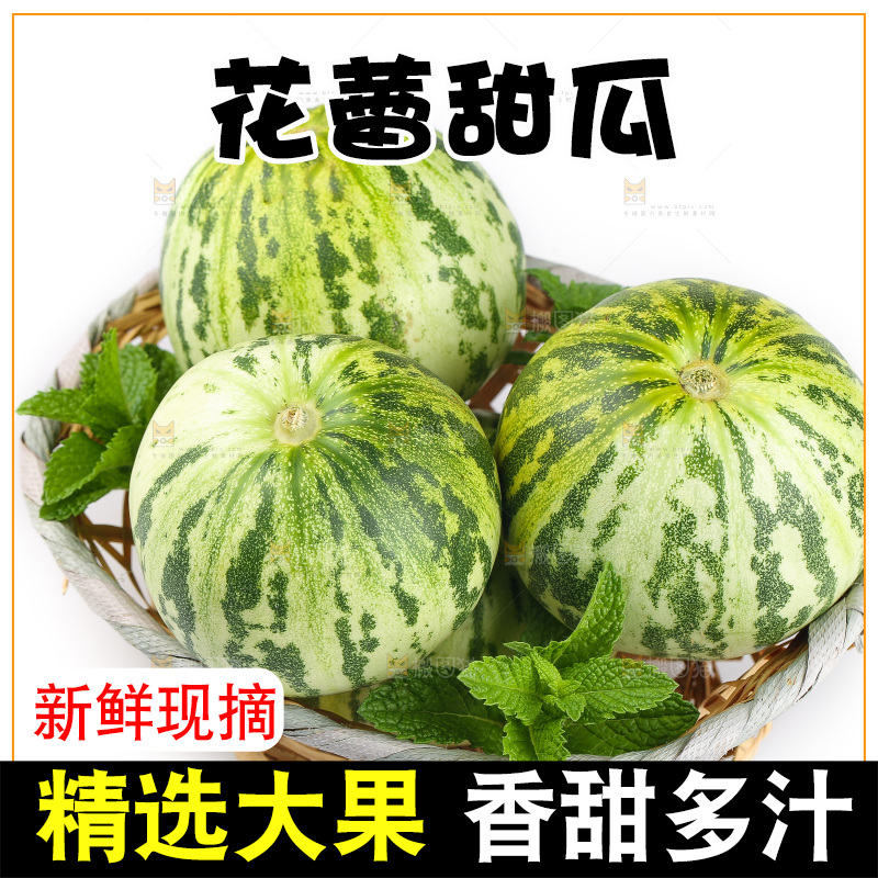 白底上的花蕾甜瓜