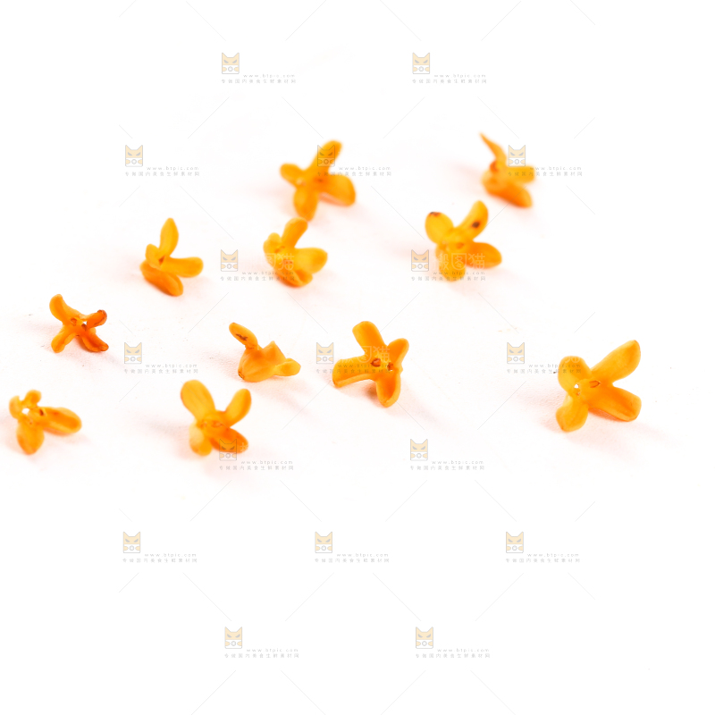 白底上的桂花
