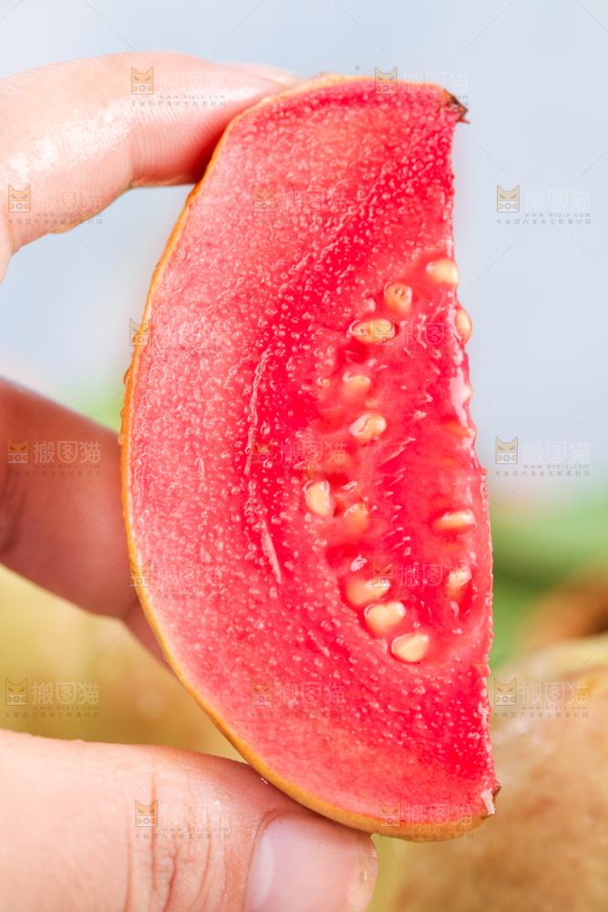 浅底上的红心芭乐