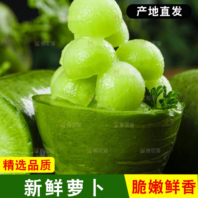 深底上的沙窝萝卜
