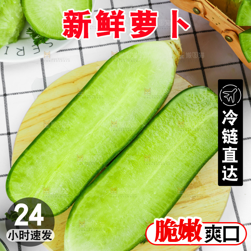 浅底上的沙窝萝卜