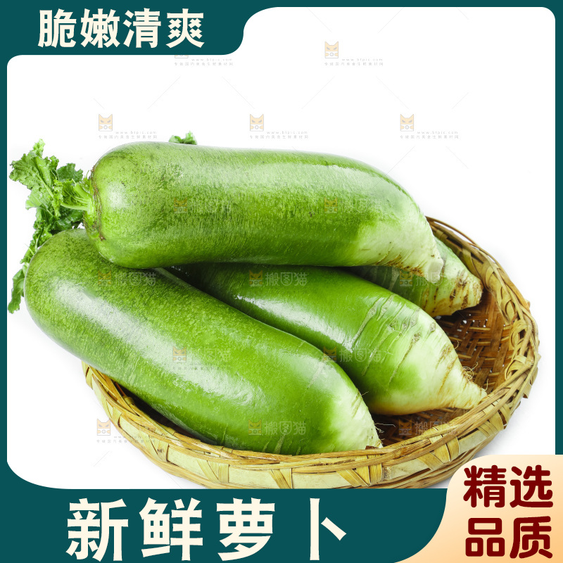 白底上的沙窝萝卜