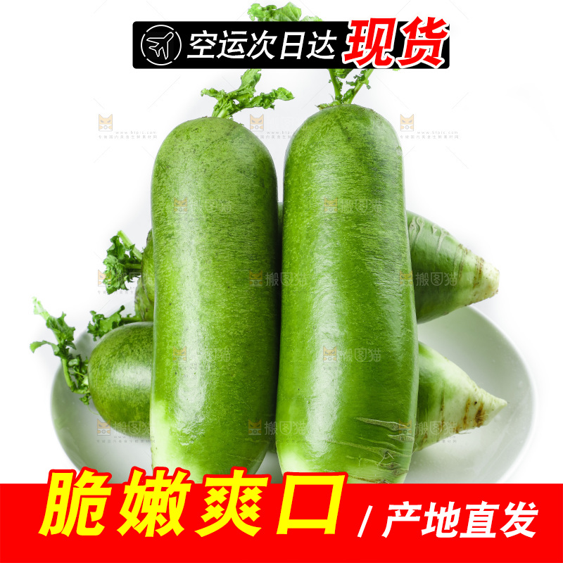 白底上的沙窝萝卜