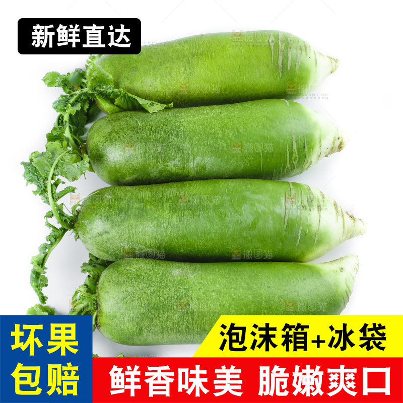 白底上的沙窝萝卜