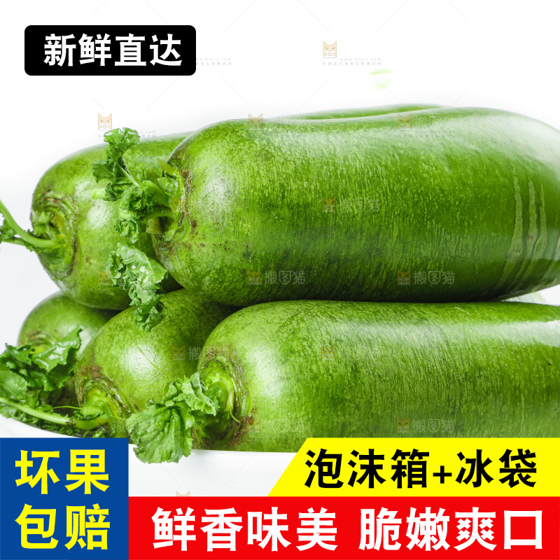 白底上的沙窝萝卜