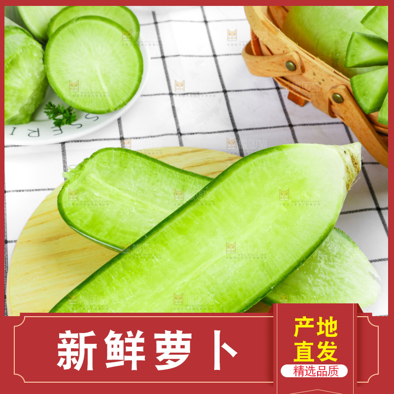 浅底上的沙窝萝卜