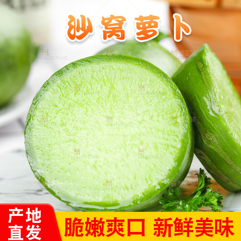 浅底上的沙窝萝卜