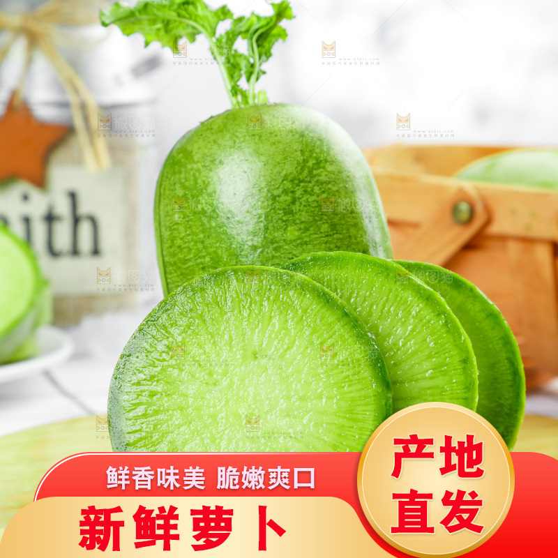 浅底上的沙窝萝卜