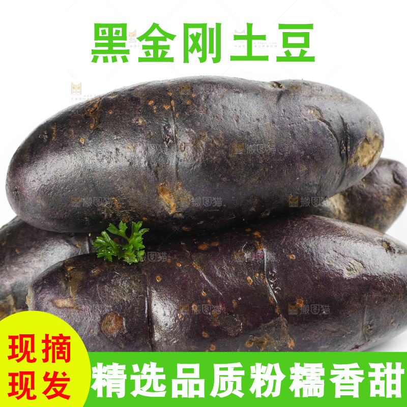 白底上的紫土豆