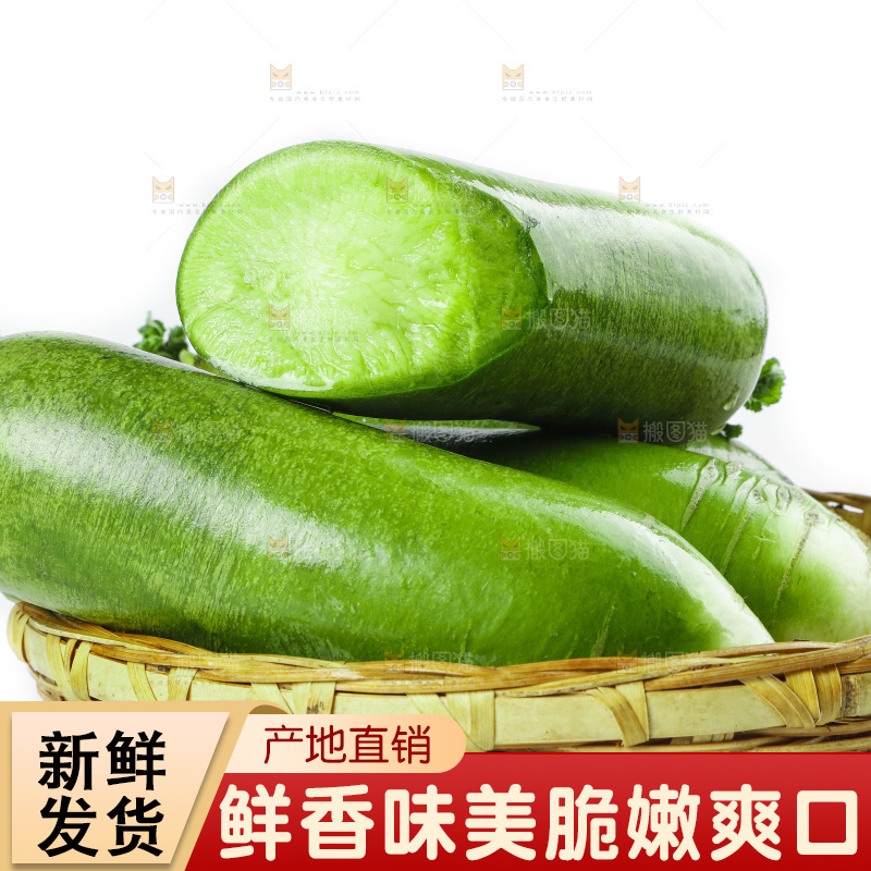 白底上的沙窝萝卜