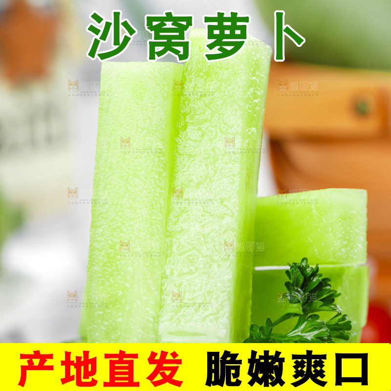 浅底上的沙窝萝卜