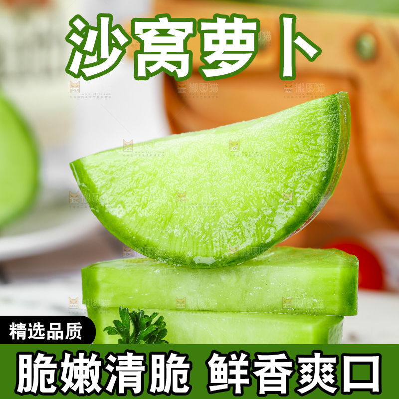 浅底上的沙窝萝卜