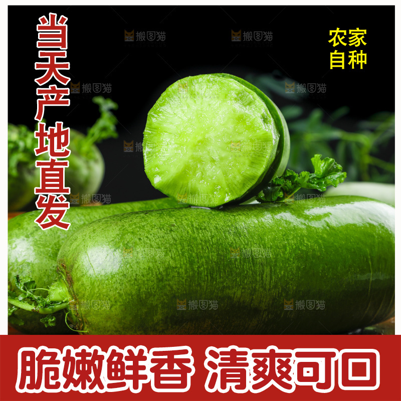 深底上的沙窝萝卜